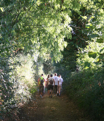 Découvrez le bocage et ses chemins creux